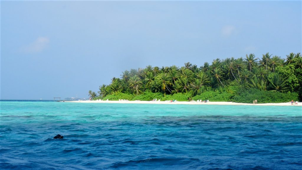 Eiland met strand en palmbomen in de Malediven