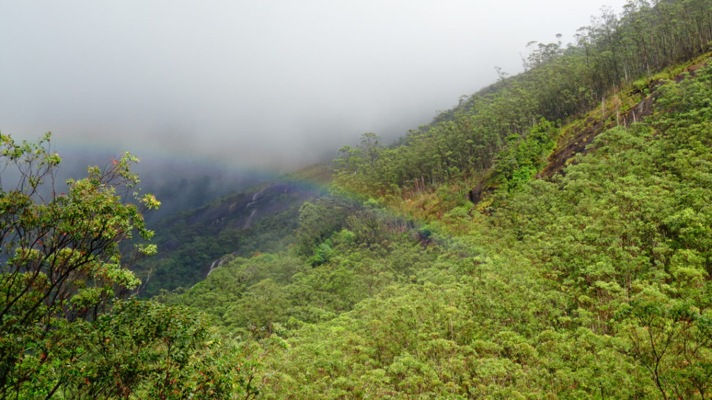Het uitzicht halverwege Adam's Peak met regenboog in Sri Lanka