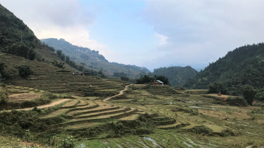 Backpacken bij groene rijstvelden in Sapa in Vietnam